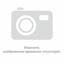 Лист оцинкованный в рулоне Printech Золотой Дуб